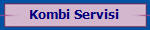 Kombi Servisi