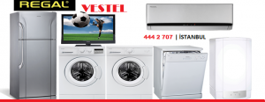 izmir-vestel-servisi